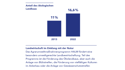 Grafik: Der Anteil des ökologischen Landbaus ist von 11 Prozent 2013 auf 16,6 Prozent 2022 angestiegen.