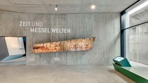 Eingangsbereich des Besucherzentrums Grube Messel